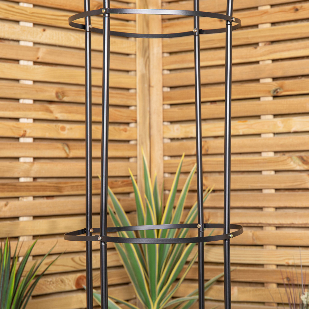 Samuel Alexander Metal Climbing Plants Patio Obelisk Trellis 1.9m Image 3