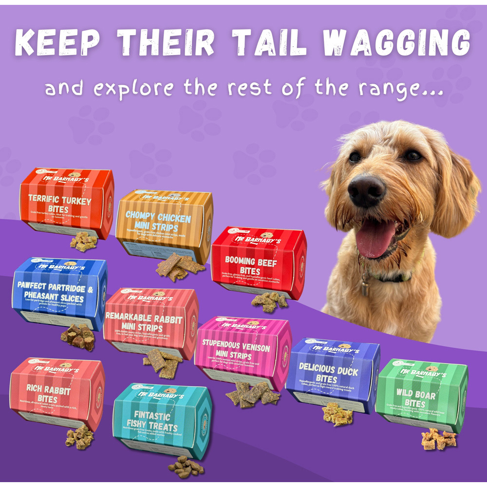 Mr Barnaby's Snuggle Snacks Grain-Free Hypoallergenic Dog Treats 100g 2 Pack Image 8