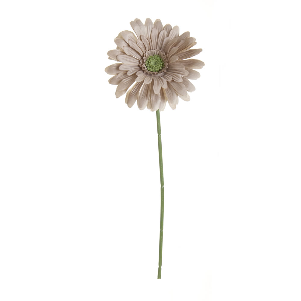Wilko Gerbera Single Stem Flower Taupe Image