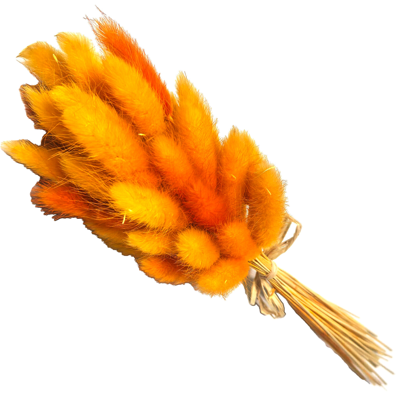 Artificial Bunny Tail Grass Orange Image
