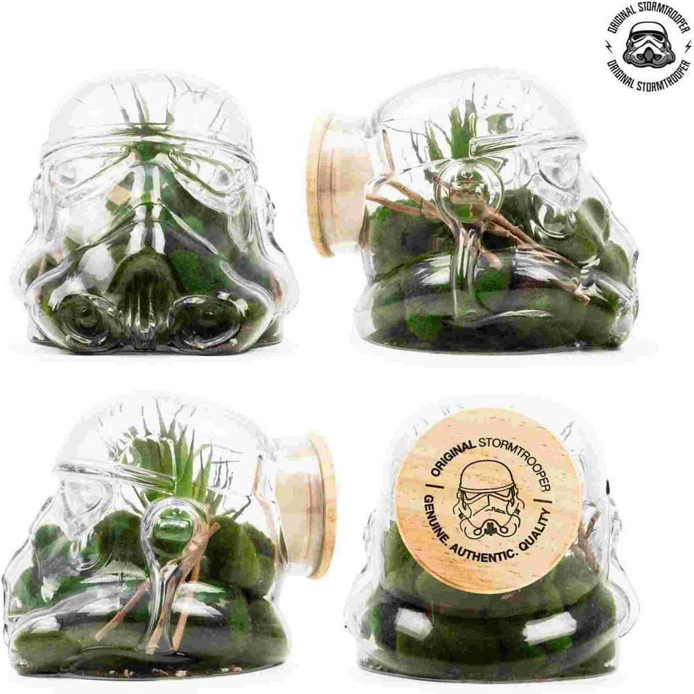Thumbs Up Star Wars Original Stormtrooper Cookie Jar and Terrarium Image 6
