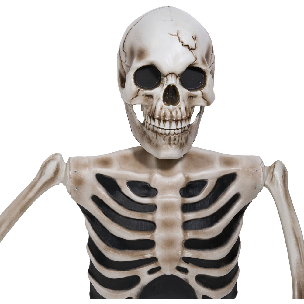 Giant Skeleton Groundbreaker Decoration Image 4
