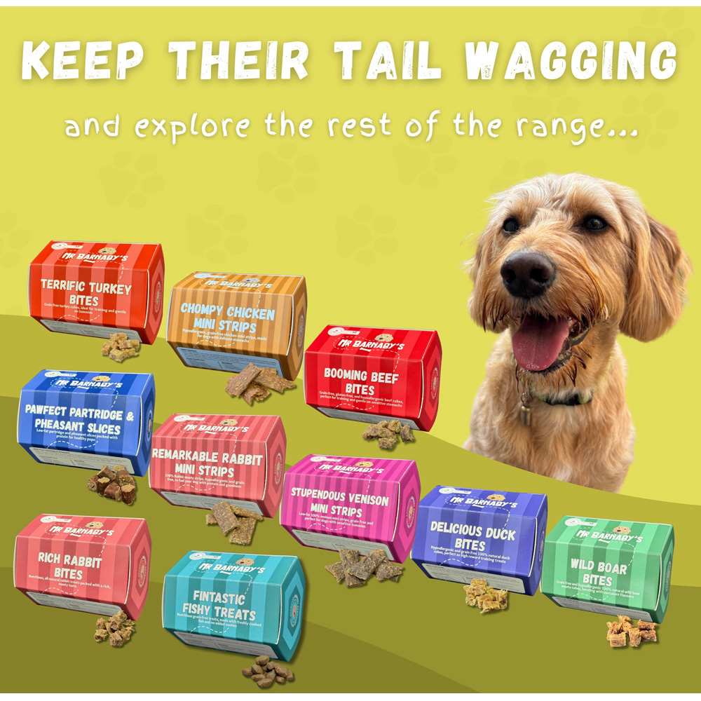 Mr Barnaby's Pawsome Poultry Bites Grain-Free Hypoallergenic Dog Treats 100g 2 Pack Image 8