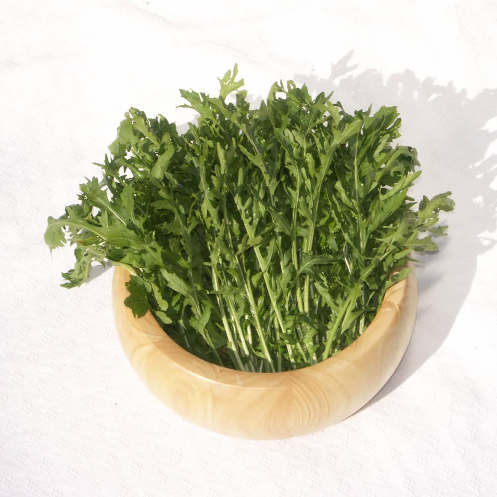 Thompson and Morgan Salad Leaves Rocket Astra Seeds Image