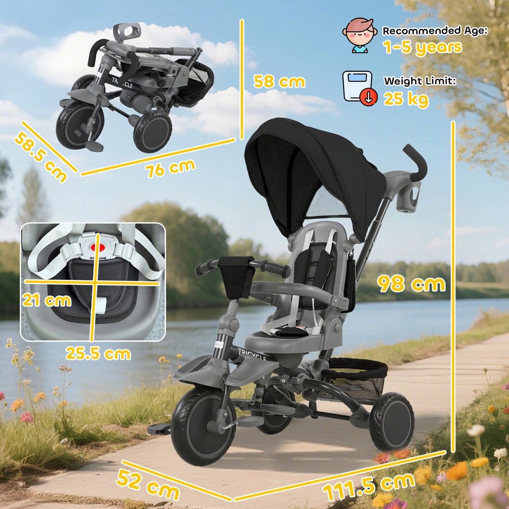 AIYAPLAY 6-in-1 Toddler Black 5 Point Harness Trike with Parent Handle Image 9