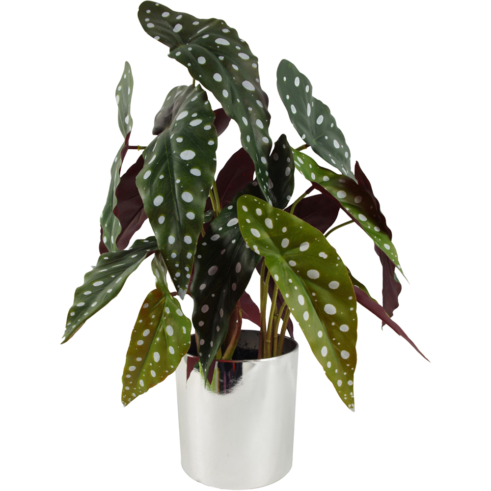 Leaf Spotty Begonia Maculata Artificial Plant in Silver Plastic Pot 1.3ft Image 1