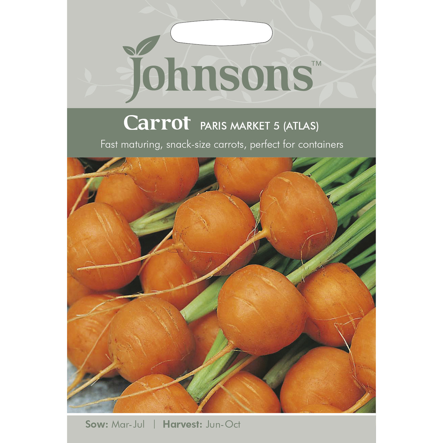 Johnsons Paris Market Carrot Seeds Image 2