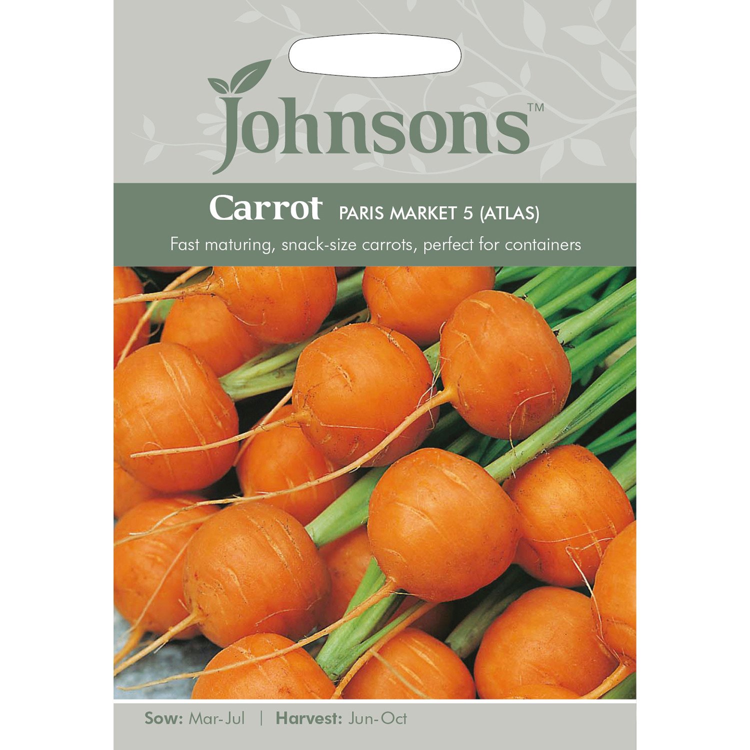 Johnsons Paris Market Carrot Seeds Image 2