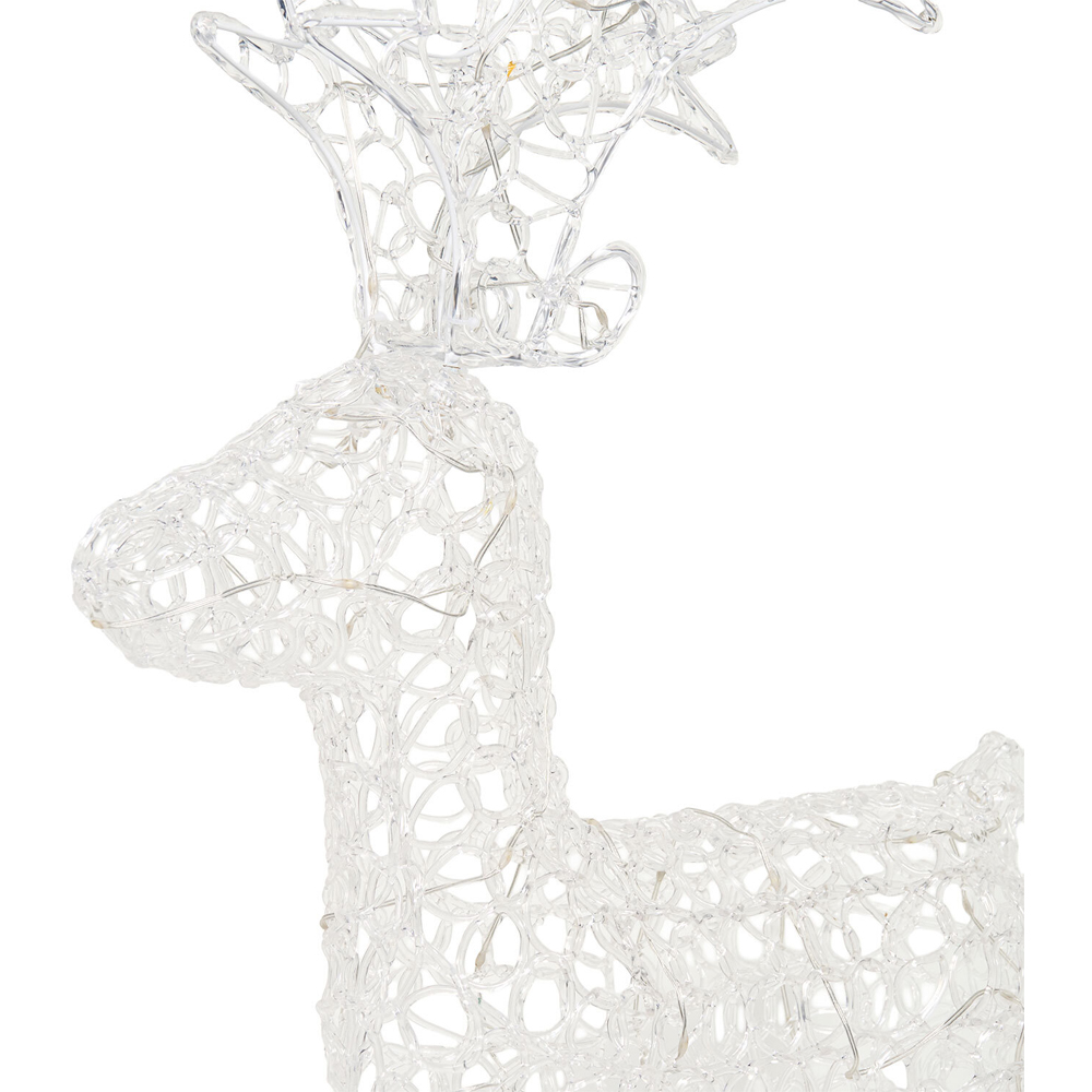 60 LED Acrylic Stag Image 8