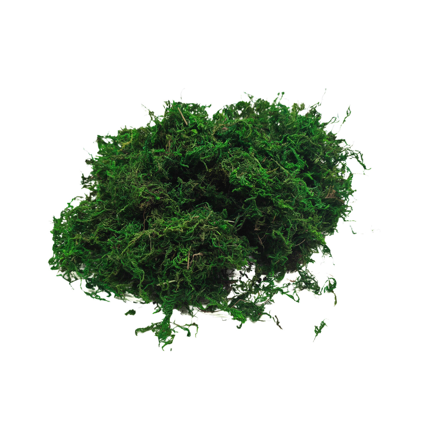 Craft Moss 500g - Green Image 1
