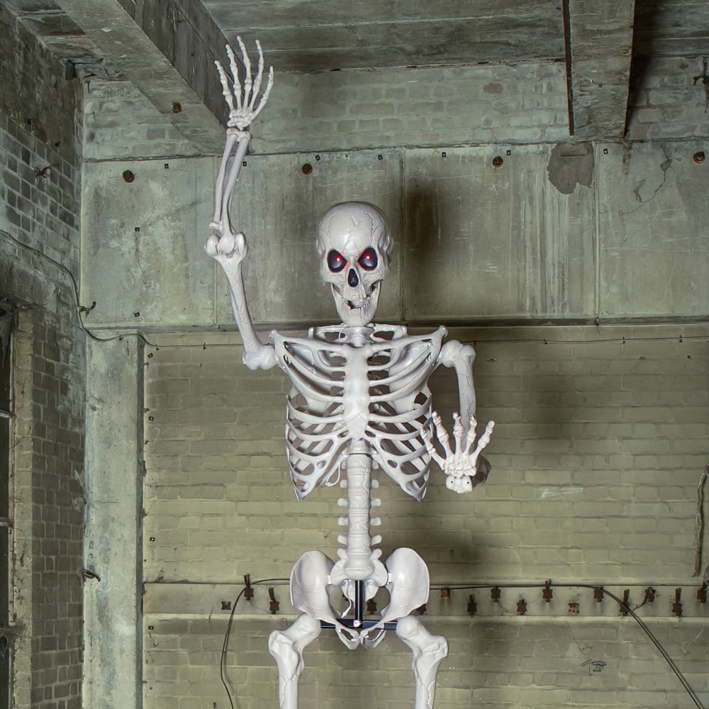 Samuel Alexander LED Posable Full Body Skeleton Halloween Decoration 10ft Image 4