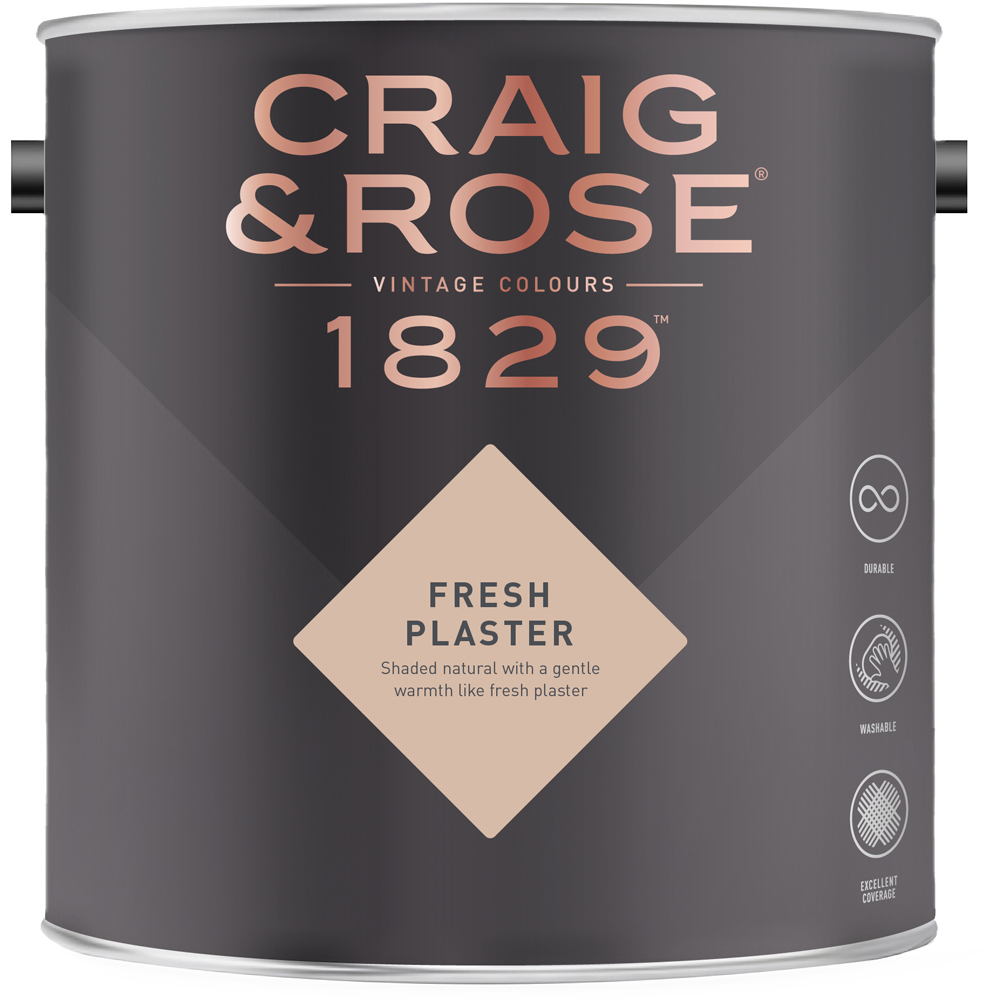 Craig & Rose Kitchen and Bathroom Fresh Plaster Eggshell Paint 750ml Image 2