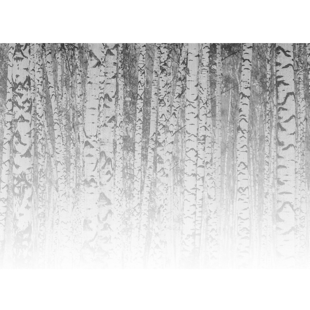 A.S Creation Birch Forect 1 Digital Mural Image 2