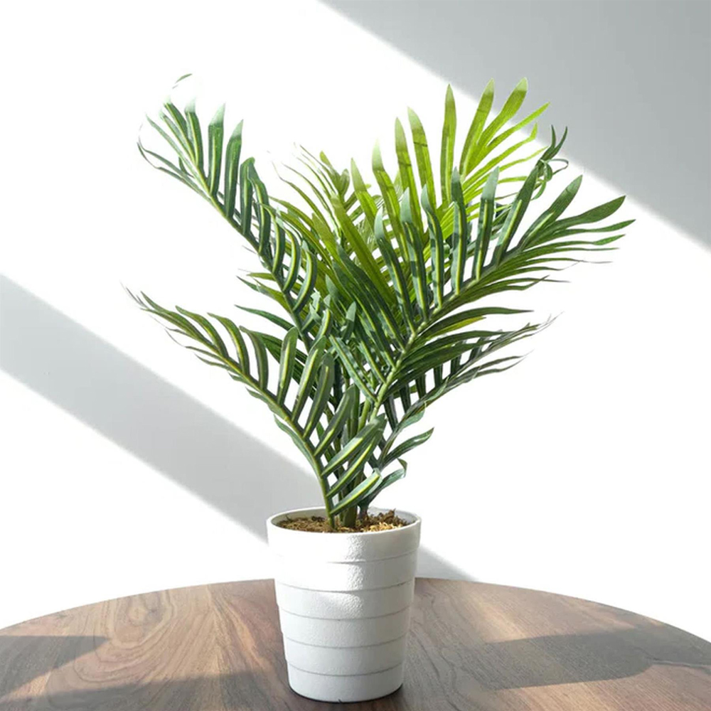 Leaf Mini Palm Artificial Tree in Pot 50cm Image 2