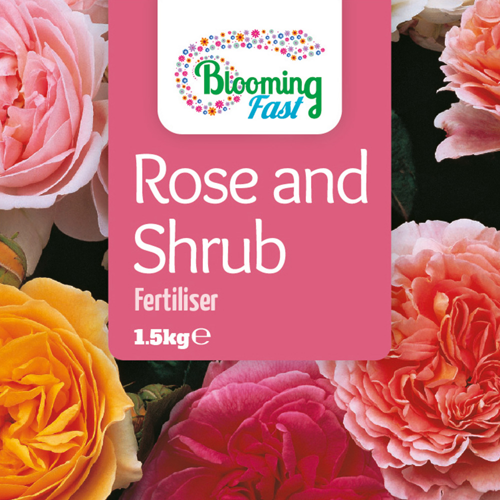 Blooming Fast Rose and Shrub Fertiliser 1kg Image 2