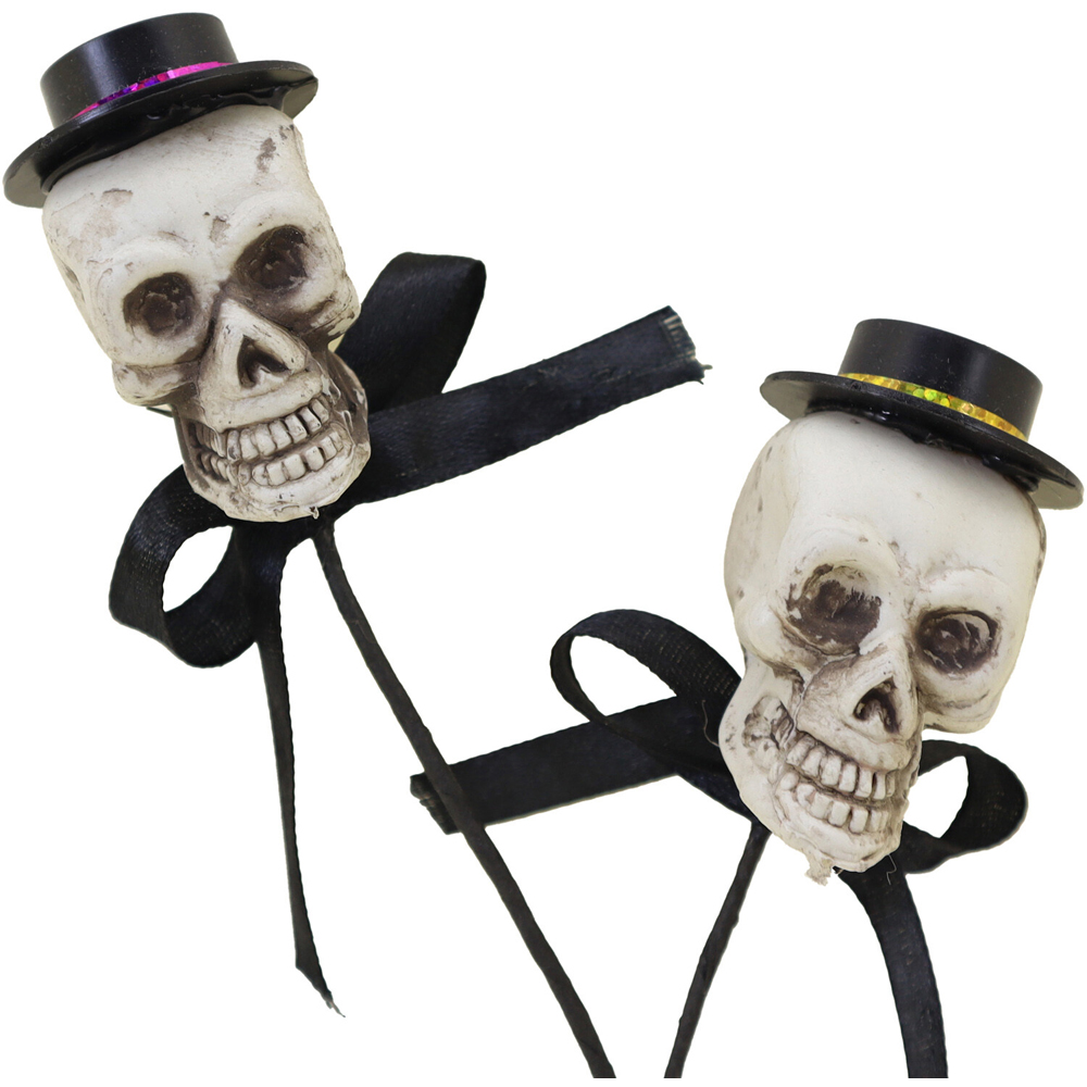 Skull Pick Image 2