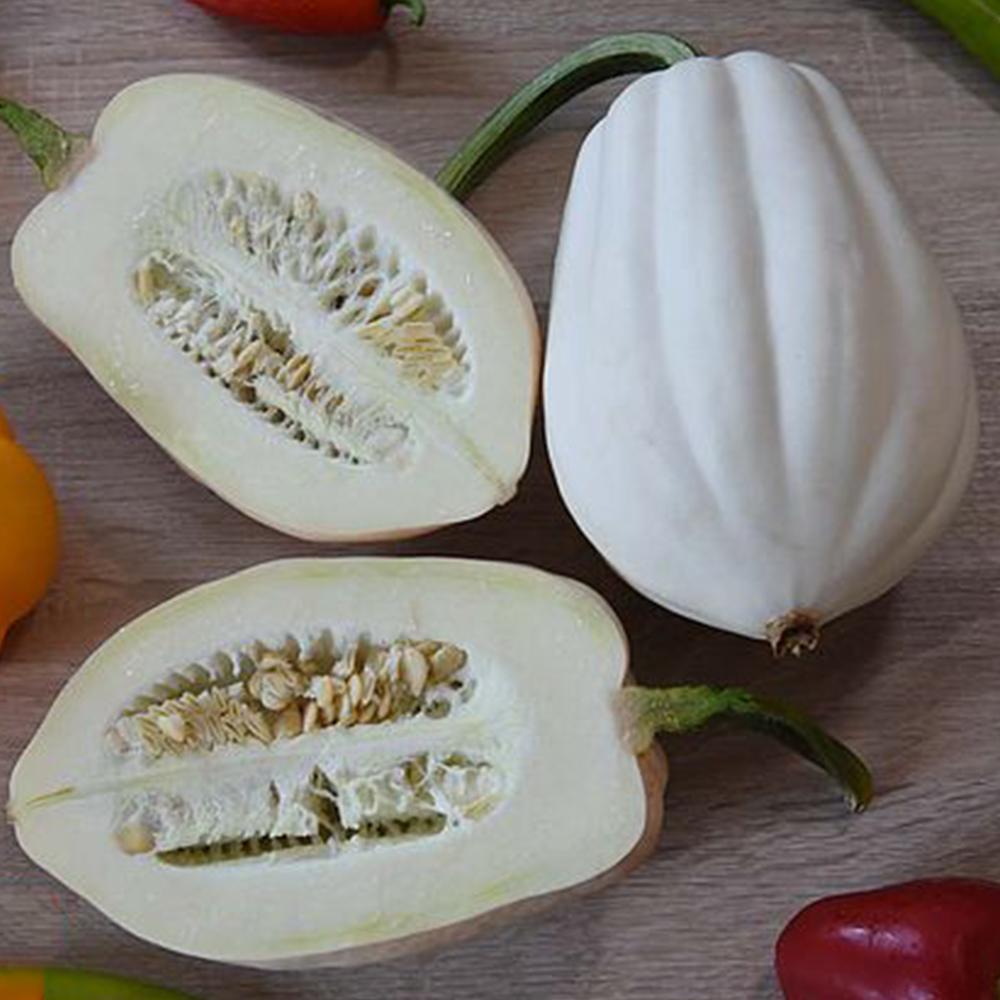 Thompson & Morgan Winter Squash Mashed Potatoes Seeds Image 1
