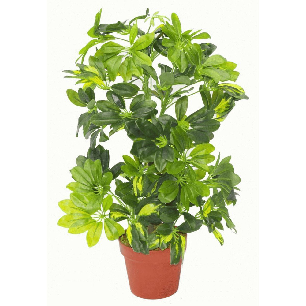 Leaf Arboricola Gold Capella Artificial Plant in Copper Metal Planter 2ft Image 2