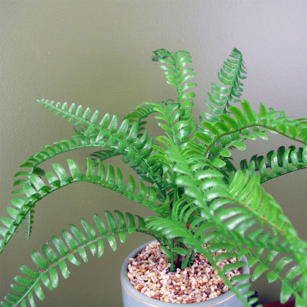 Botanik Artificial Fern Plant in Pot with Stand 40cm Image 5