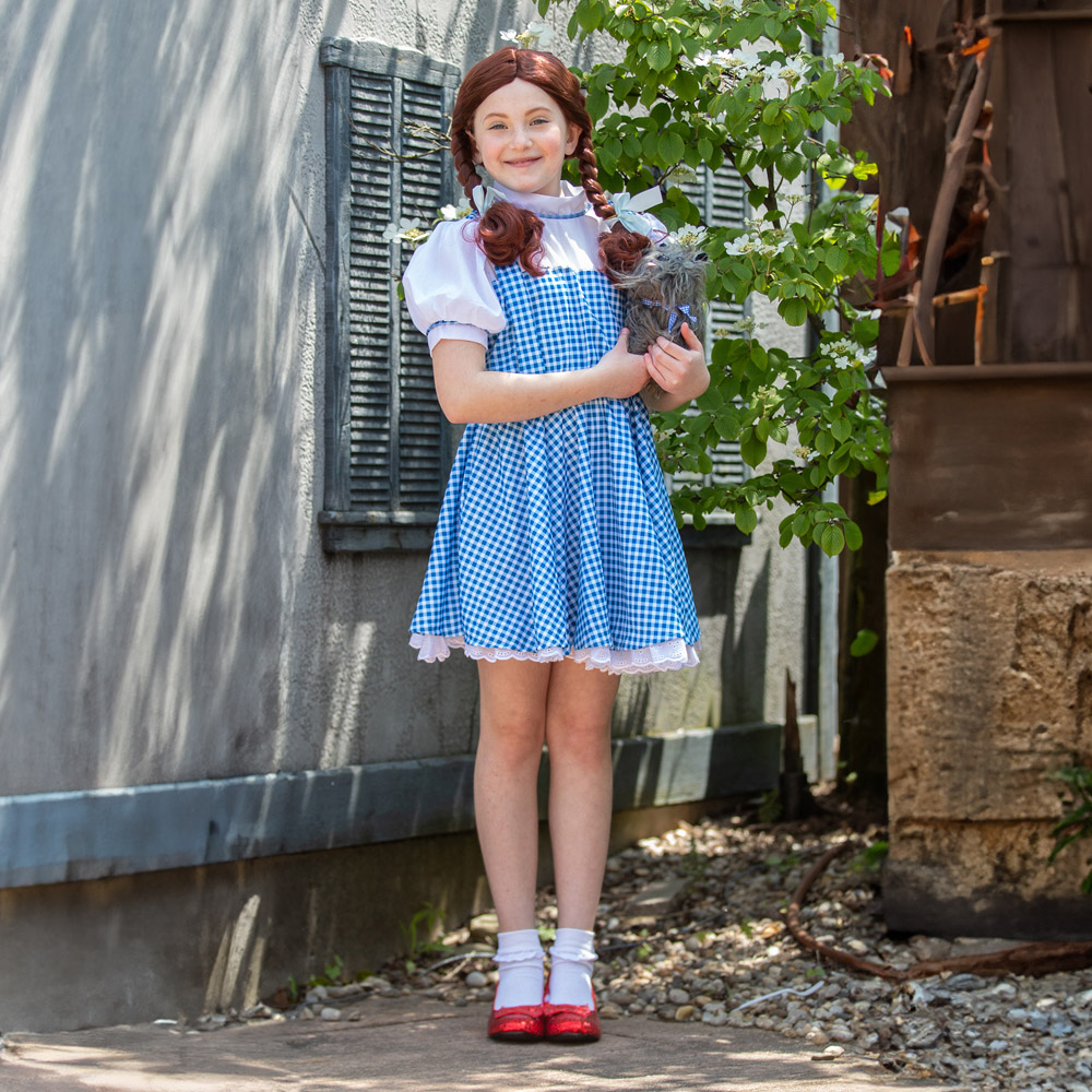 Rubies Masquerade Kids Dorothy Sequin Costume Large Image 3