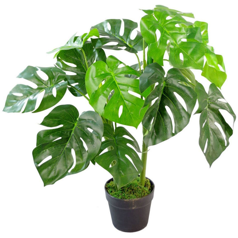 Leaf Monstera Cheese Artificial Plant Pot with Moss Covered Finish 80cm Image
