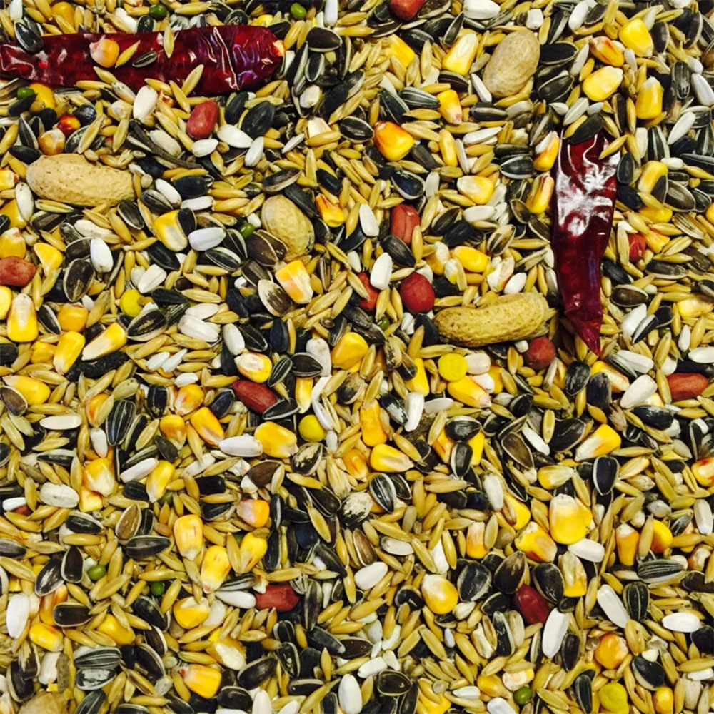 Bucktons No. 1 Parrot Bird Seed 12.75kg Image 2