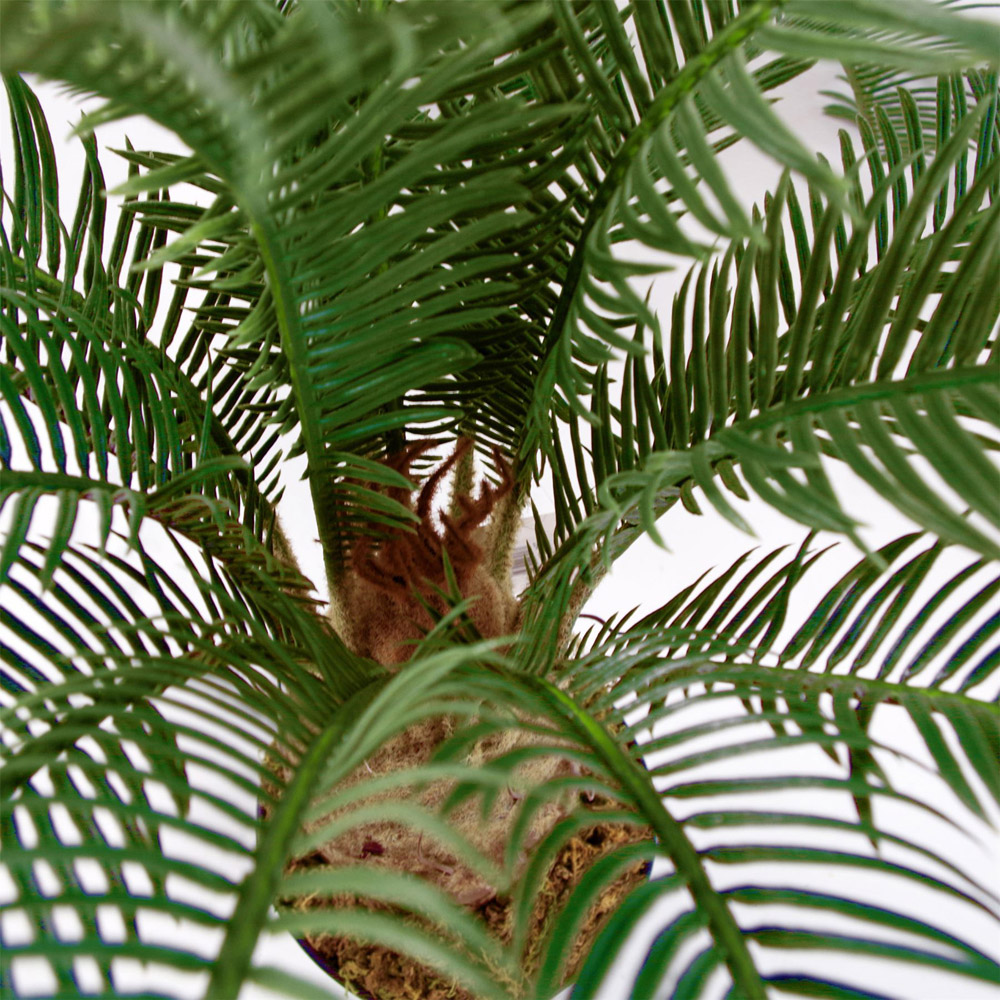 Botanik Cycas Palm Artificial Tree in Pot 60cm Image 3