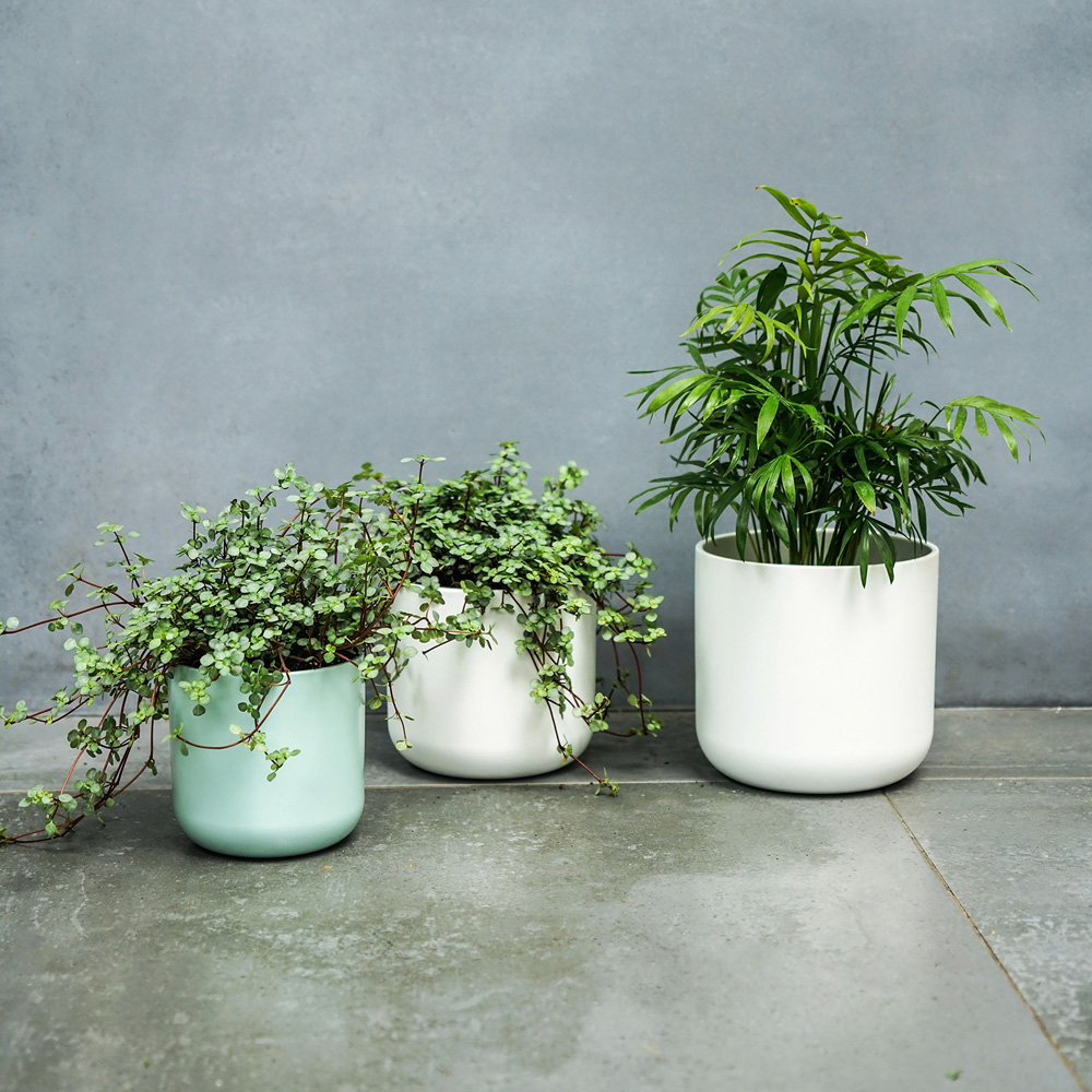 Ivyline Lisbon White Planter 26 x 26cm Image 5