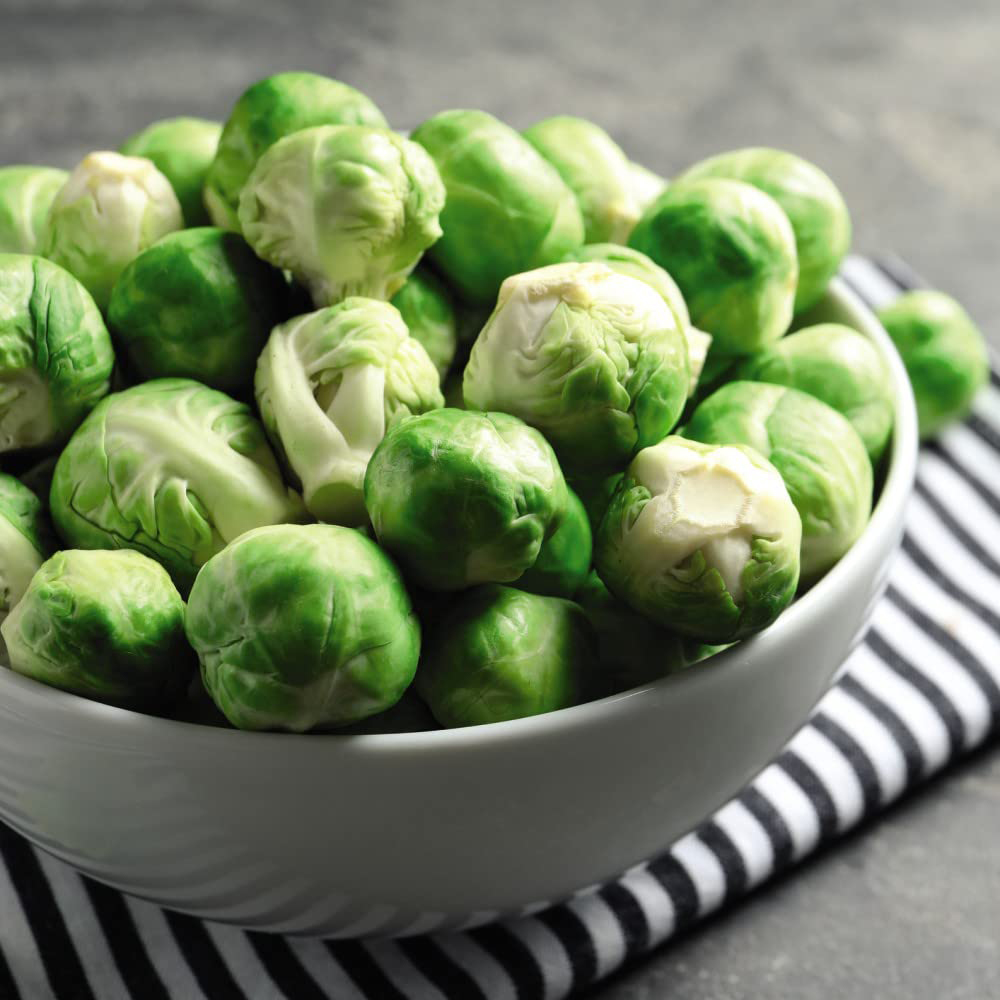 Thompson & Morgan Club Root Collection Postiplug Plant 4 Pack Image 3