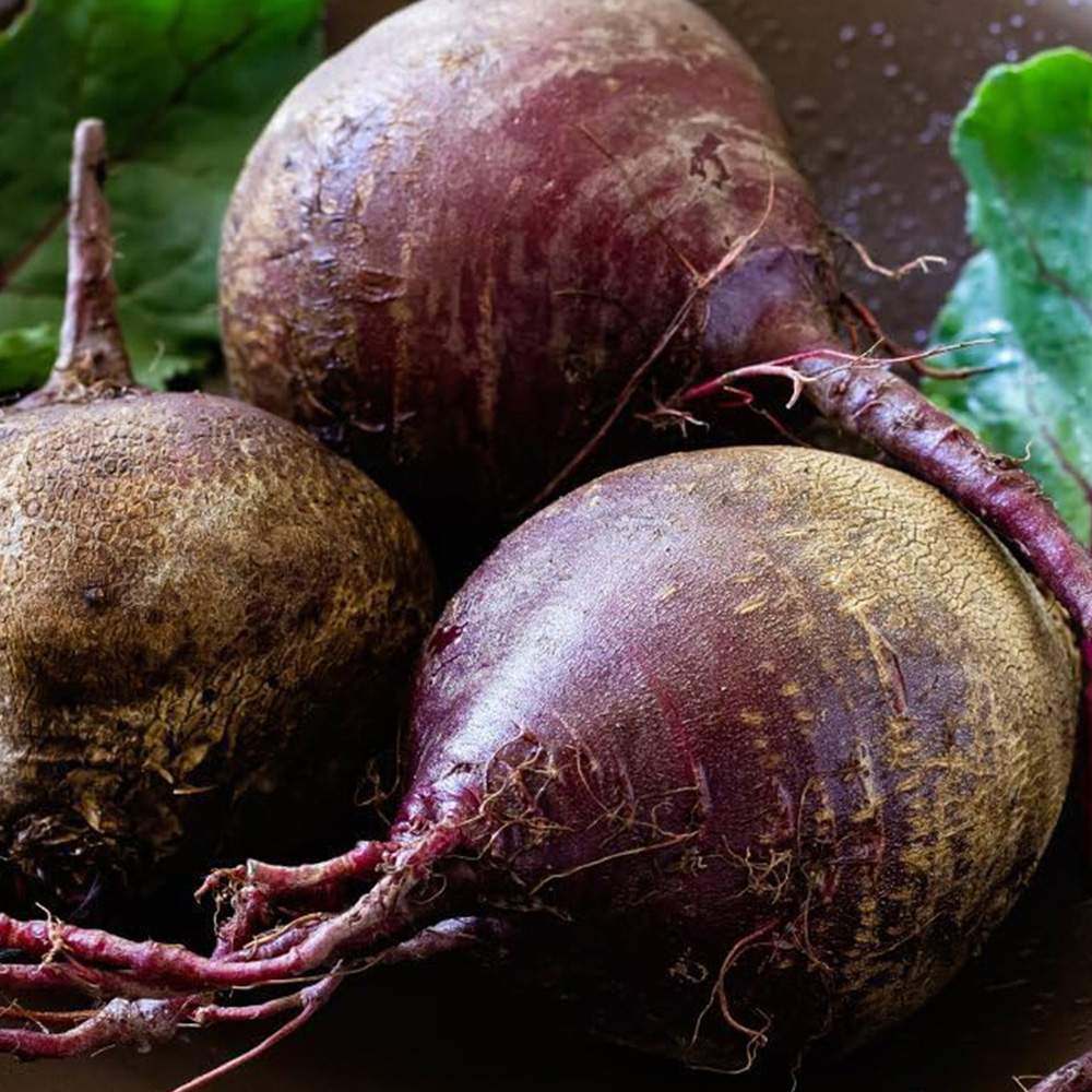 Thompson and Morgan Beetroot Beta Vulgaris Jolie F1 Seeds Image 1