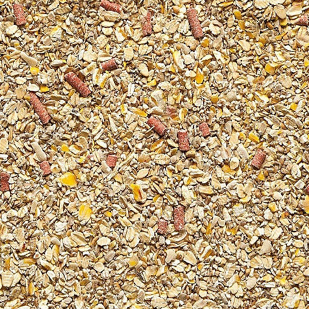 Gardman No Grow Wild Bird Seed Mix 4kg Image 2