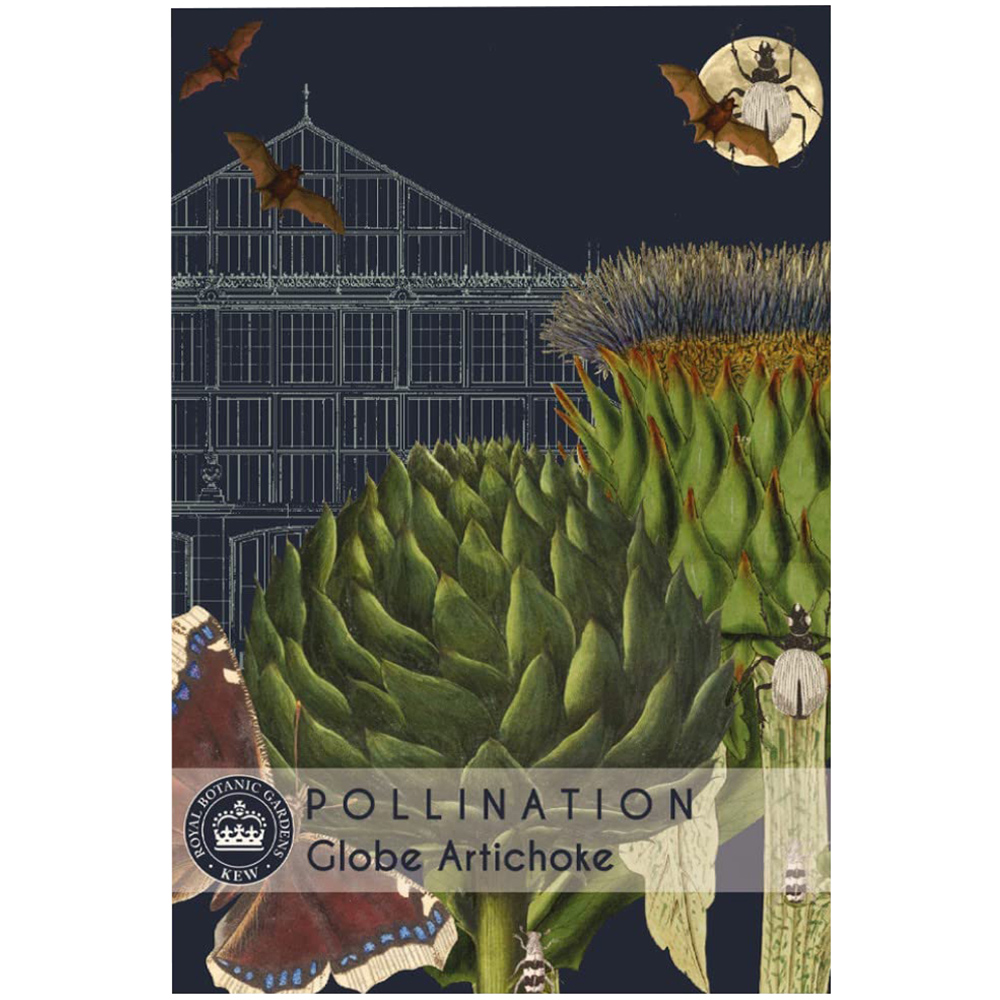 Thompson and Morgan Globe Artichoke Promo New Kew Range Seeds Image 1