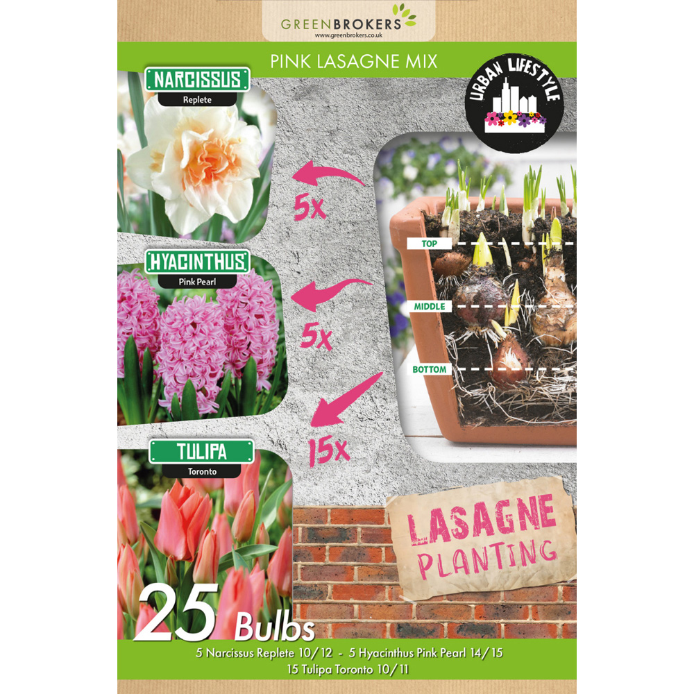 GreenBrokers Pink Lasagne Bee Friendly Mixed Spring Flower Planting Bulb 25 Pack Image 2