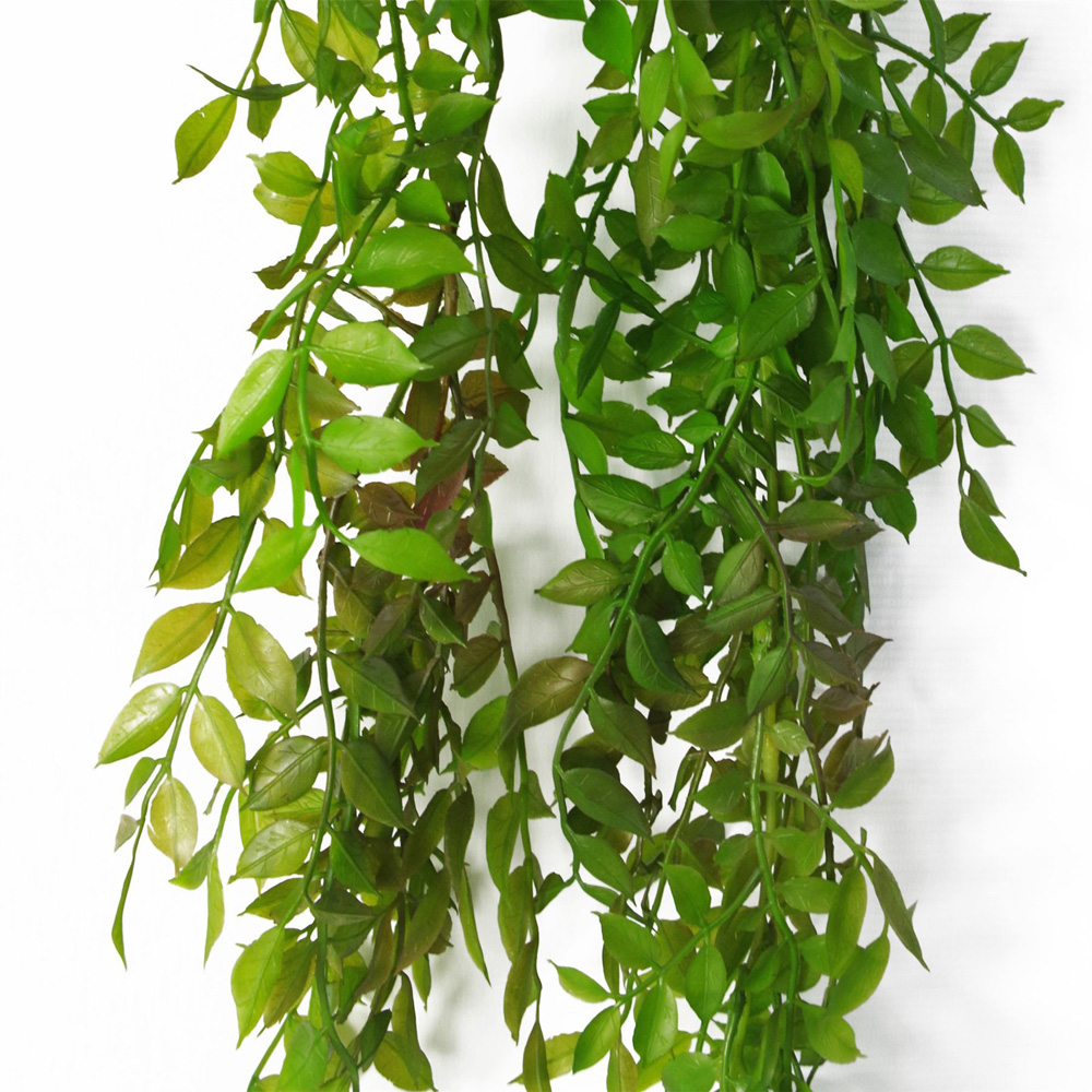 Leaf Dark Green Pearls Fern Artificial Hanging Plant 3.2ft Image 2