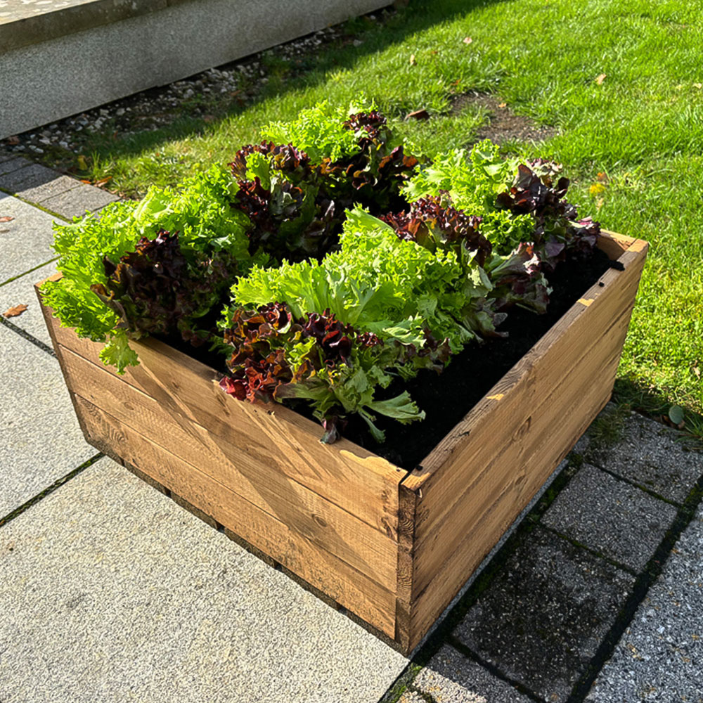 Charles Taylor Country Kitchen Large Raised Bed Image 6