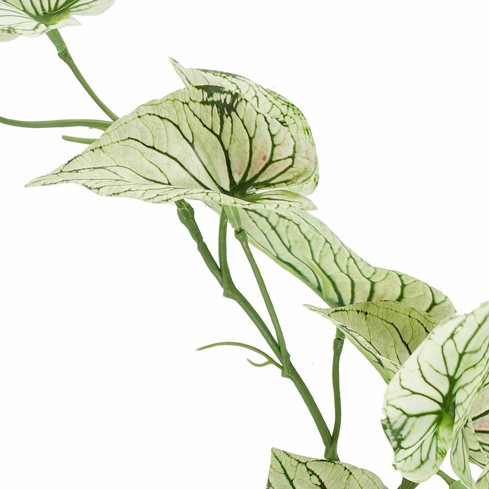 Botanik Trailing Variegated Alocasia Artificial Plant in Pot 30cm Image 5