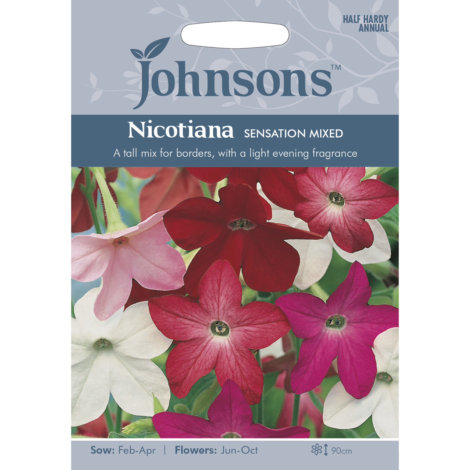 Johnsons Nicotiana Sensation Mixed Flower Seeds Image 2