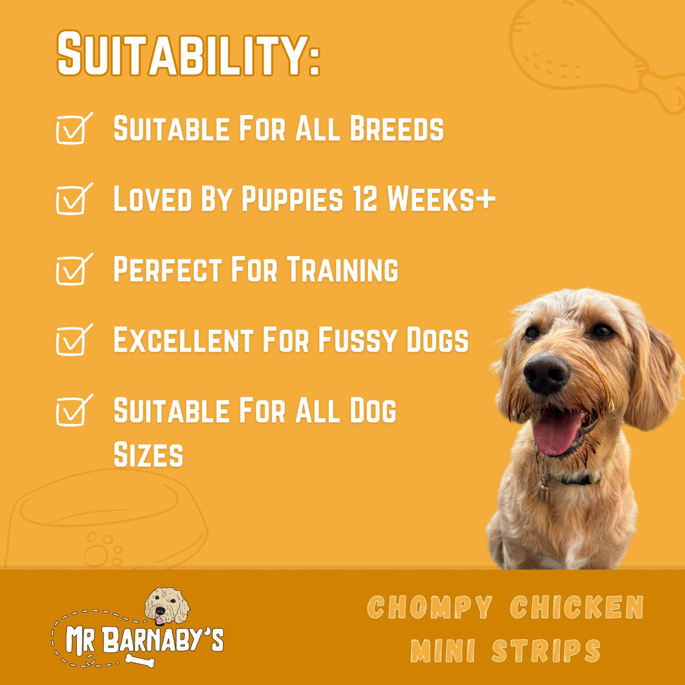 Mr Barnaby's Chompy Chicken Mini Strips Dog Treats 2 Pack Image 5