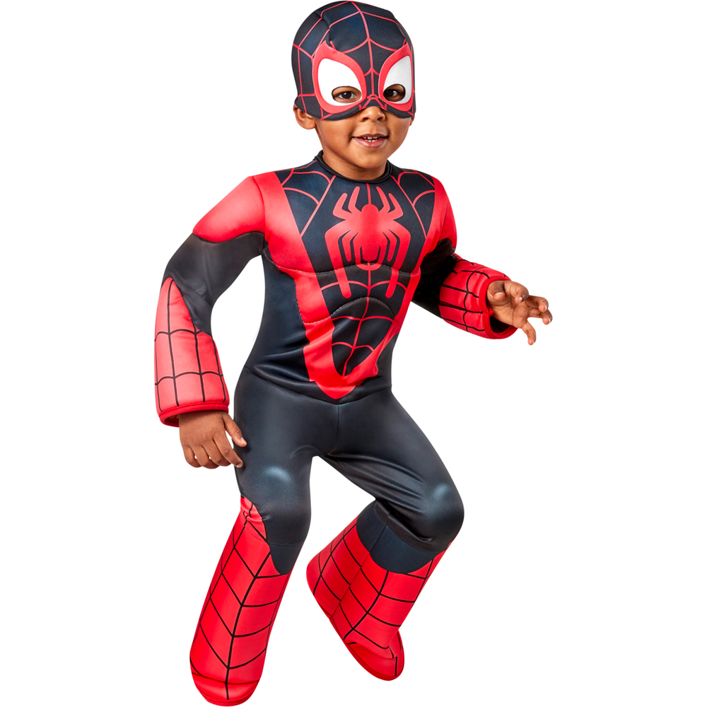 Marvel Deluxe Spinn Costume Age 2 to 3 Years Image 7