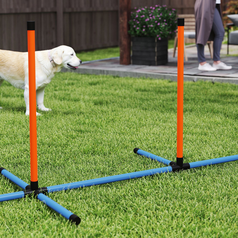 PawHut 6 Piece Orange Dog Agility Set Image 3