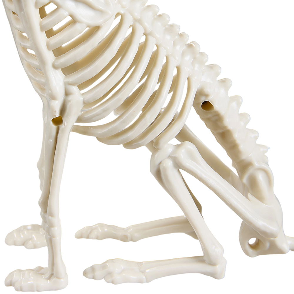 Living and Home Cream White Spooky Cat Skeleton Bone Statue Halloween Figurine 23.5cm Image 4