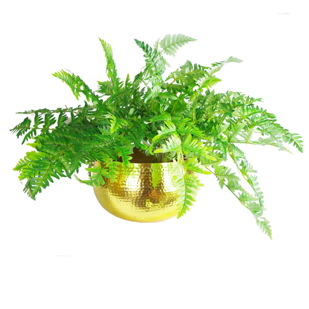 Leaf Gold Hammered Straight Edge Metal Bowl Planter 32 x 20cm Image 3