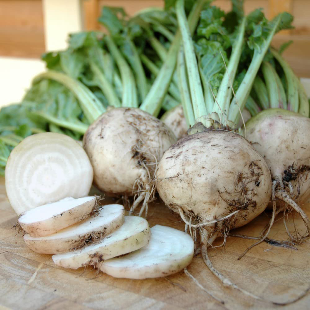 Thompson and Morgan Beetroot Albina Vereduna Seeds Image 2