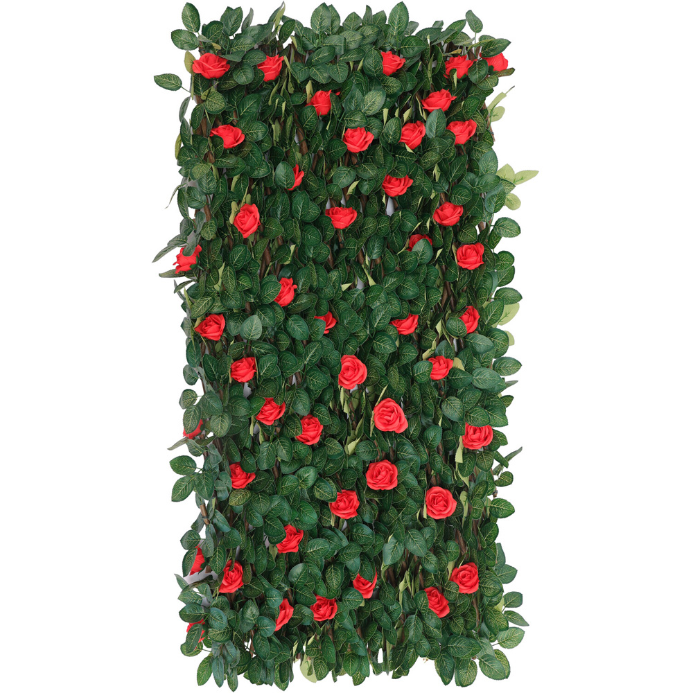 Expanding Red Rose Leaf Fence Green Image 2