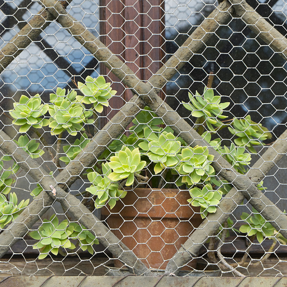 Living and Home Galvanized Hexagonal Wire Mesh Fence Netting 5m Image 5