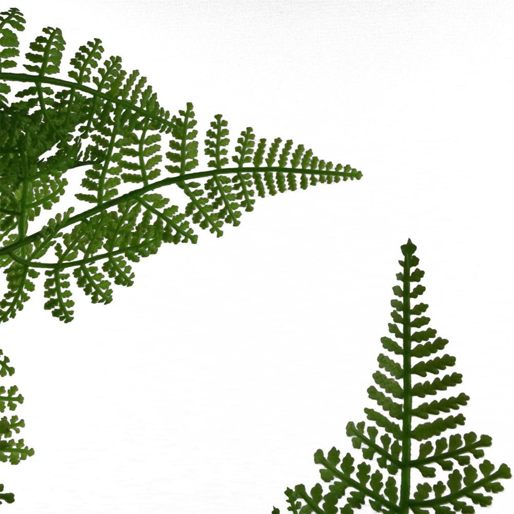 Leaf Artificial Fern Plant 1.9ft Image 4