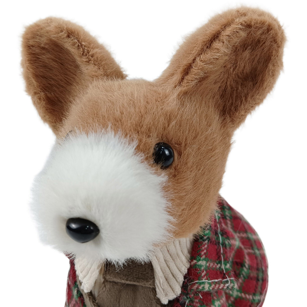 Dapper Tartan Dog Decoration Image 5