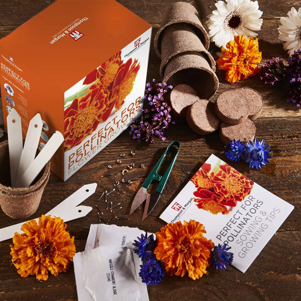 Thompson & Morgan Pollinators Flower Growing Kit Image 2