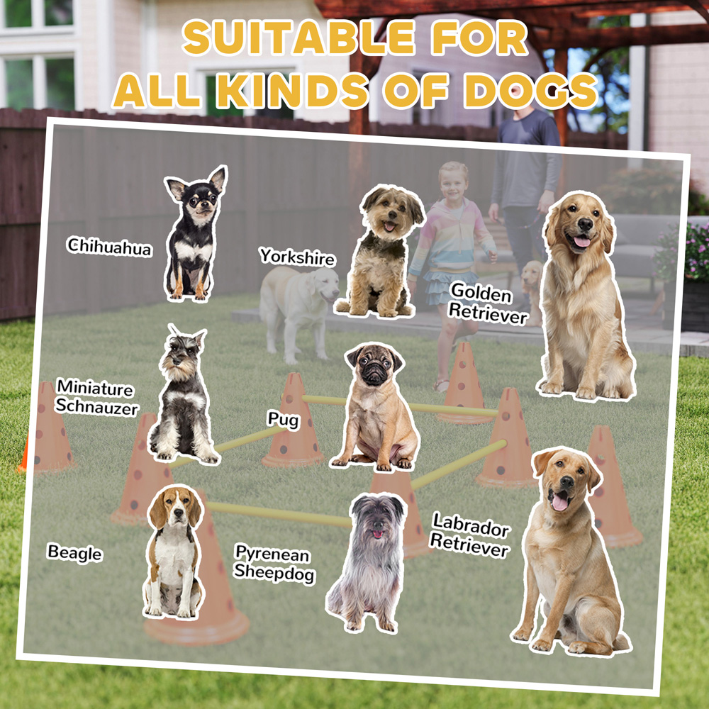 PawHut 4 Piece Height Adjustable Dog Agility Equipment Set Image 4