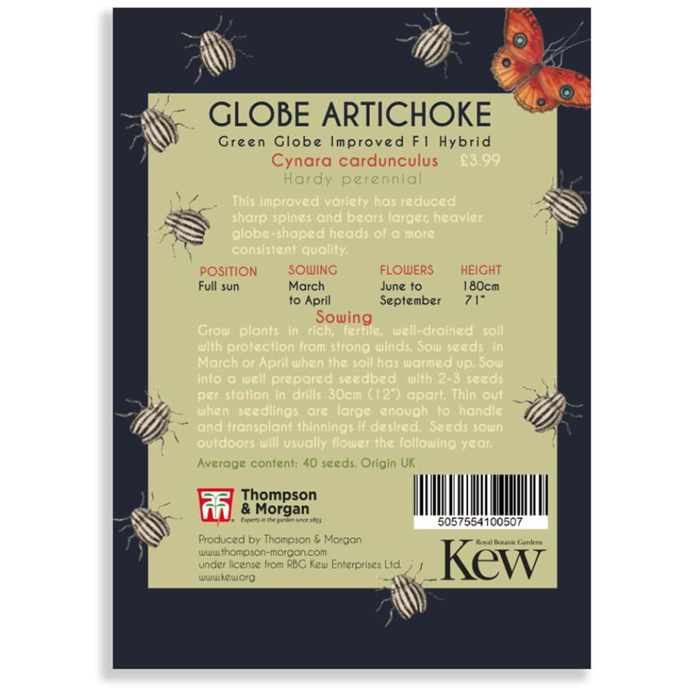 Thompson and Morgan Globe Artichoke Promo New Kew Range Seeds Image 2